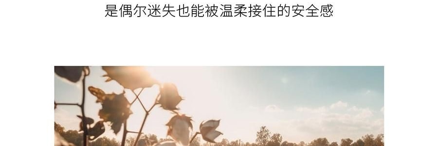 QILI其里 奔跑的动物香氛蜡烛 生日礼物室内持久小众艺术香氛礼品 涩果 160g