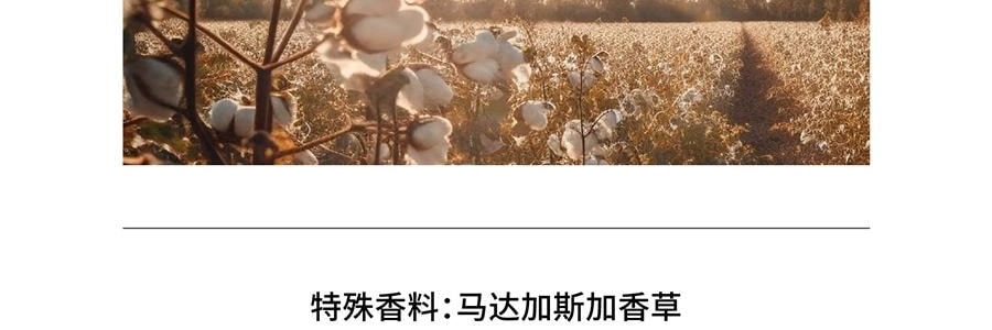 QILI其里 奔跑的动物香氛蜡烛 生日礼物室内持久小众艺术香氛礼品 涩果 160g