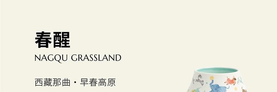 QILI其里 奔跑的动物香氛蜡烛 生日礼物室内持久小众艺术香氛礼品 涩果 160g