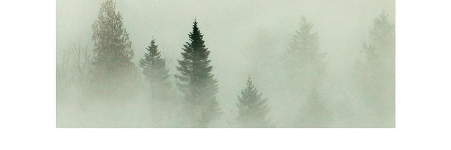 QILI其里 奔跑的动物香氛蜡烛 生日礼物室内持久小众艺术香氛礼品 涩果 160g