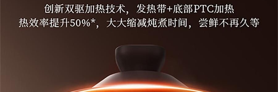 JOYOUNG九陽 慢燉鍋煲湯鍋 紫砂電燉鍋 燉湯鍋 DG50K-GD505-U