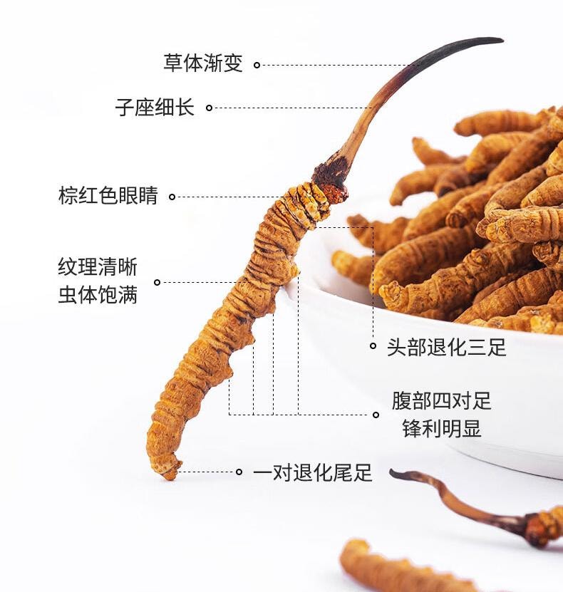 【中华老字号 江浙沪第一品牌】雷允上手工精选冬虫夏草2g【8倍高腺苷】 冻干虫草更高品质 养生滋补品 中秋过年送礼礼品
