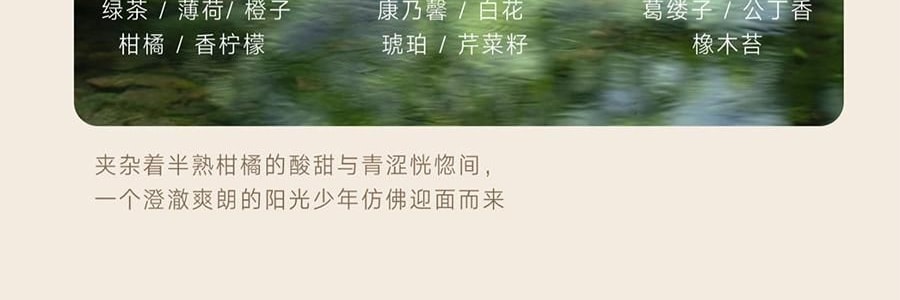 宋朝 冷山系列擴香石套裝擺件 高級香氛 送禮好物 容器*1 晶石*1袋 精油*1 梔子花開