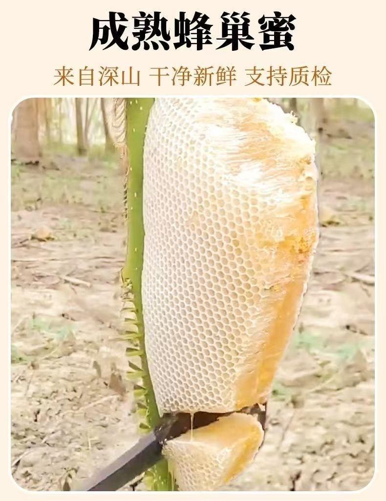 花知酿 嚼着吃【蜂巢蜜】迷你便携独立小包装【内6小杯】180克*1袋