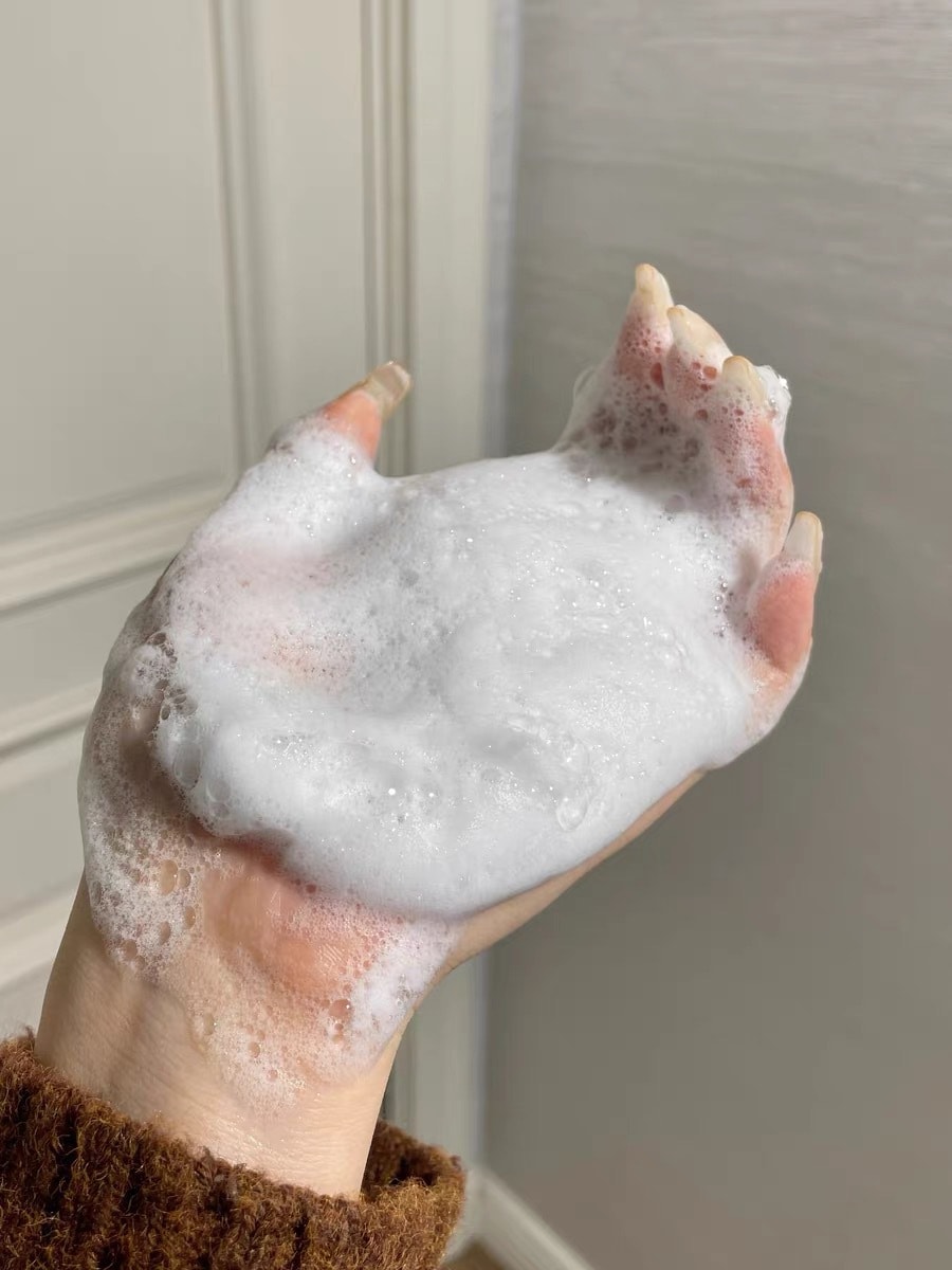 【中国直邮】 红之 氨基酸亲净洁面乳 二代小亲净洗面奶 泡沫深层清洁控油收缩毛孔 100g*1支