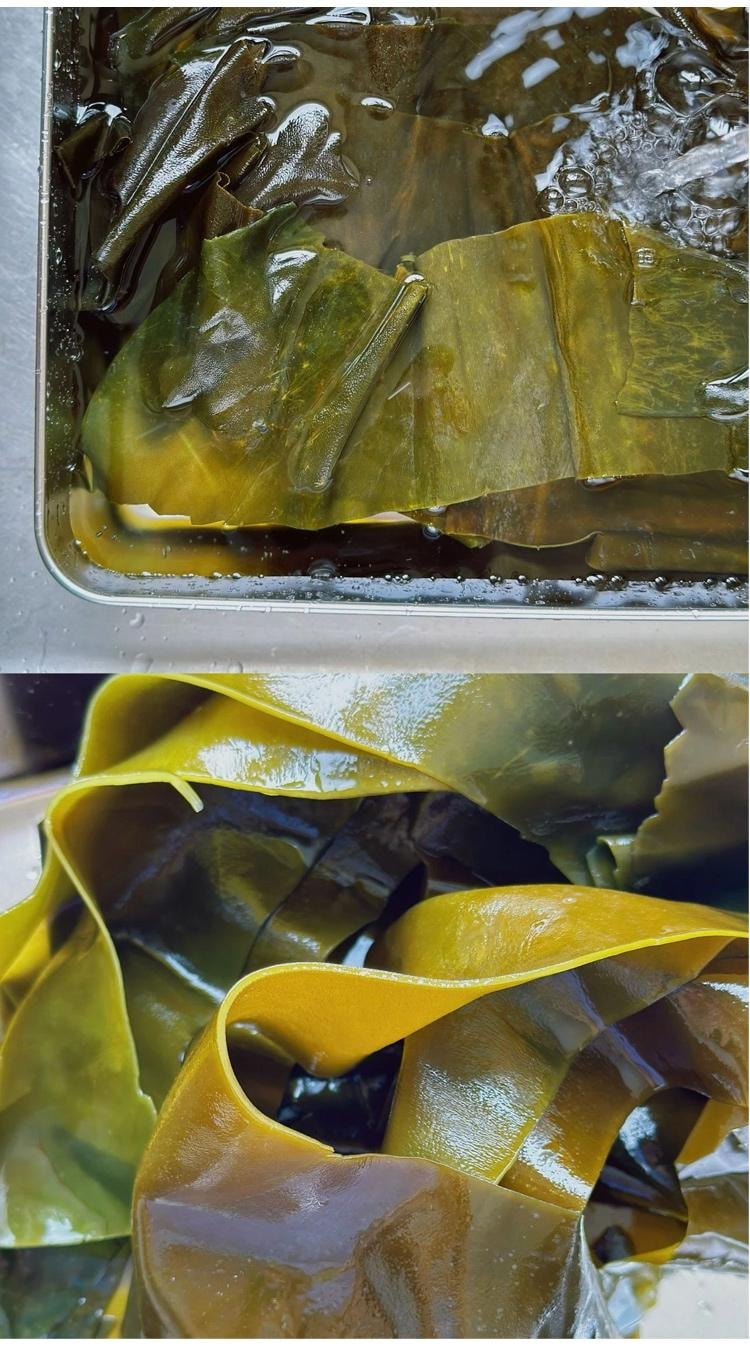 Organic dried kelp 500g