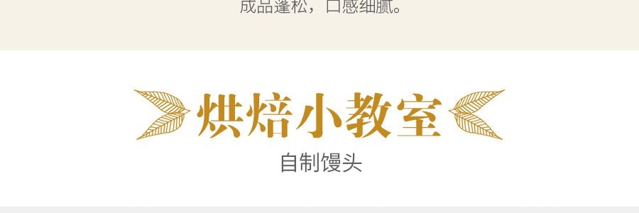 安琪百钻  双效泡打粉 面点用 膨松剂 500g