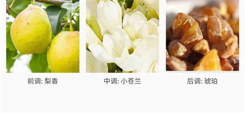 【中国直邮】  润本| 润本| 润本 润本 空气清新剂厕所除臭香薰珠卫生间去异味神器卧室香氛持久留香  月下苍兰240g