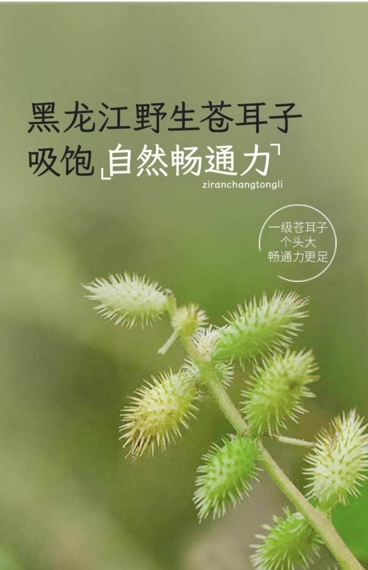 【中国直邮】 小羊森林 苍耳子精油棉棒  24支*1盒  儿童鼻油畅通通棉棒一级精油舒缓型