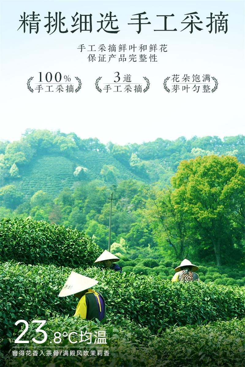 【中国直邮】 狮峰茶叶 茉莉花茶 2025新茶浓香型茉莉飘雪冷泡绿茶叶 100g