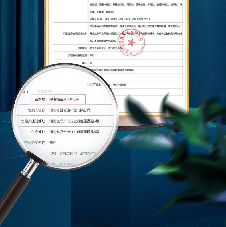 【中國直郵】 寶芝林 砭貼 祛濕貼 砭石療法 祛濕排毒 穴位貼排毒體內去濕氣重 10貼/盒