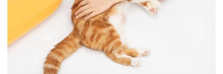 躺岛 3.0猫肚皮枕 记忆棉枕头护颈椎助睡眠枕头 大橘已定 66x40x11cm