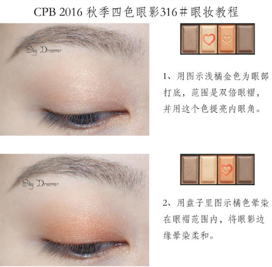 【日本直邮】 CPB肌肤之钥 极光流采 四色眼影 #316 6g