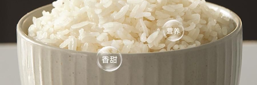 【亚米独家】BEAR小熊 铁釜电饭煲3L  防溢易清洁 微压烹饪 0 氟健康不粘煮饭锅 RC-5L30A19