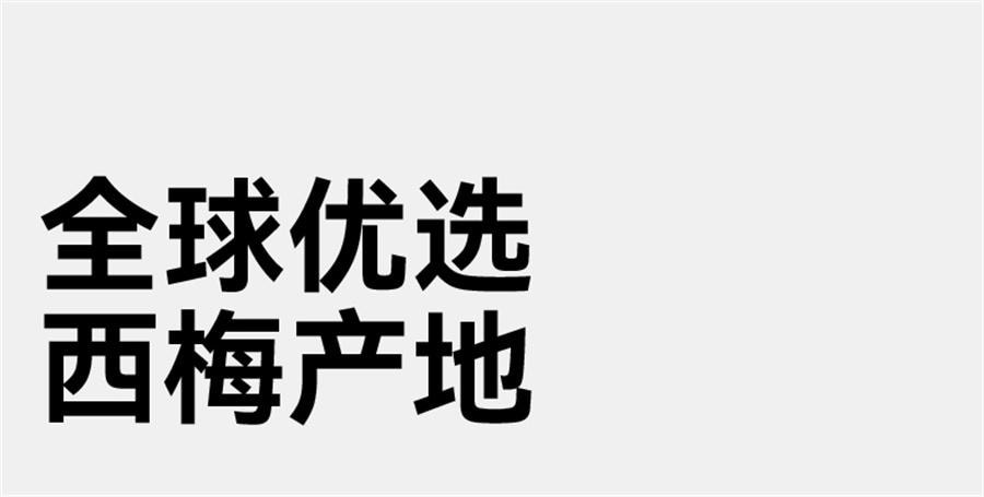 【中国直邮】  无趣的店 无核西梅干 果脯办公室追剧解馋健康孕妇零食小吃100g/袋