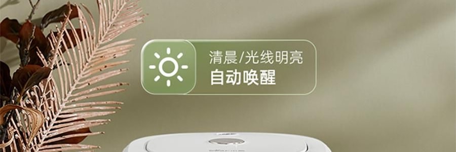 【新品登陸】BEAR小熊 暖噸噸Plus 智慧電水瓶 5.0L 白色