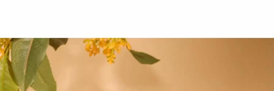 宋朝 宋遇東坡系列香包 刺繡香包臥室香氛衣櫃香掛桂花香袋 蘇遼赴桂