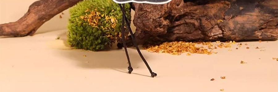 宋朝 宋遇東坡系列香包 刺繡香包臥室香氛衣櫃香掛桂花香袋 蘇遼赴桂