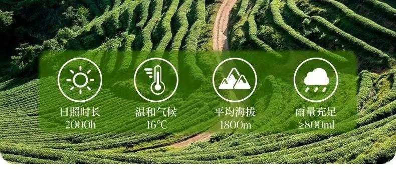 雲南直採 頭茬高山無硫金邊玫瑰 玉龍雪山產區 香味濃鬱 營養豐富 100g