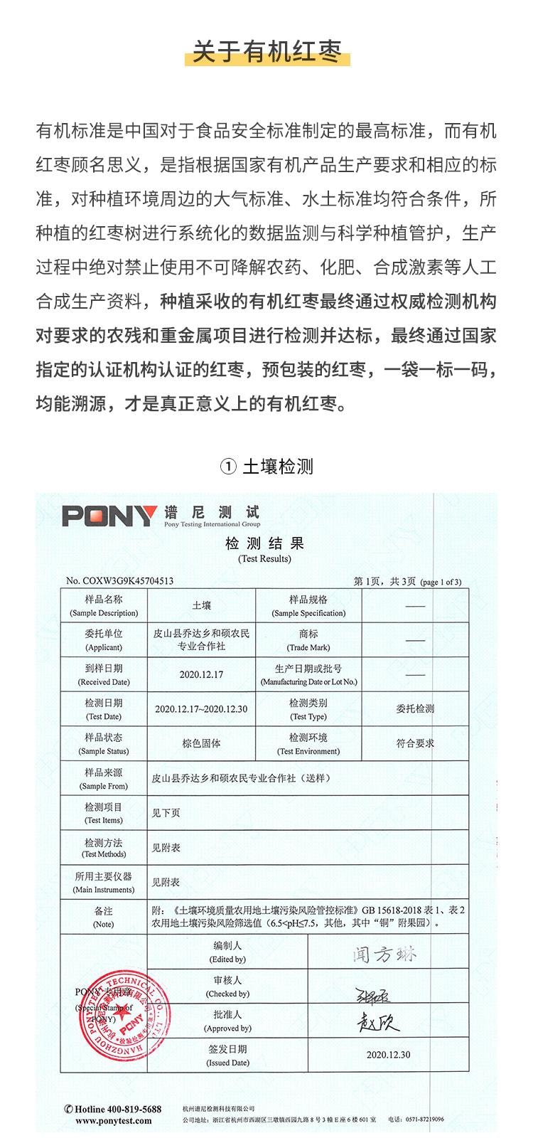 Organic Dried Jujube Filled Pie 168g