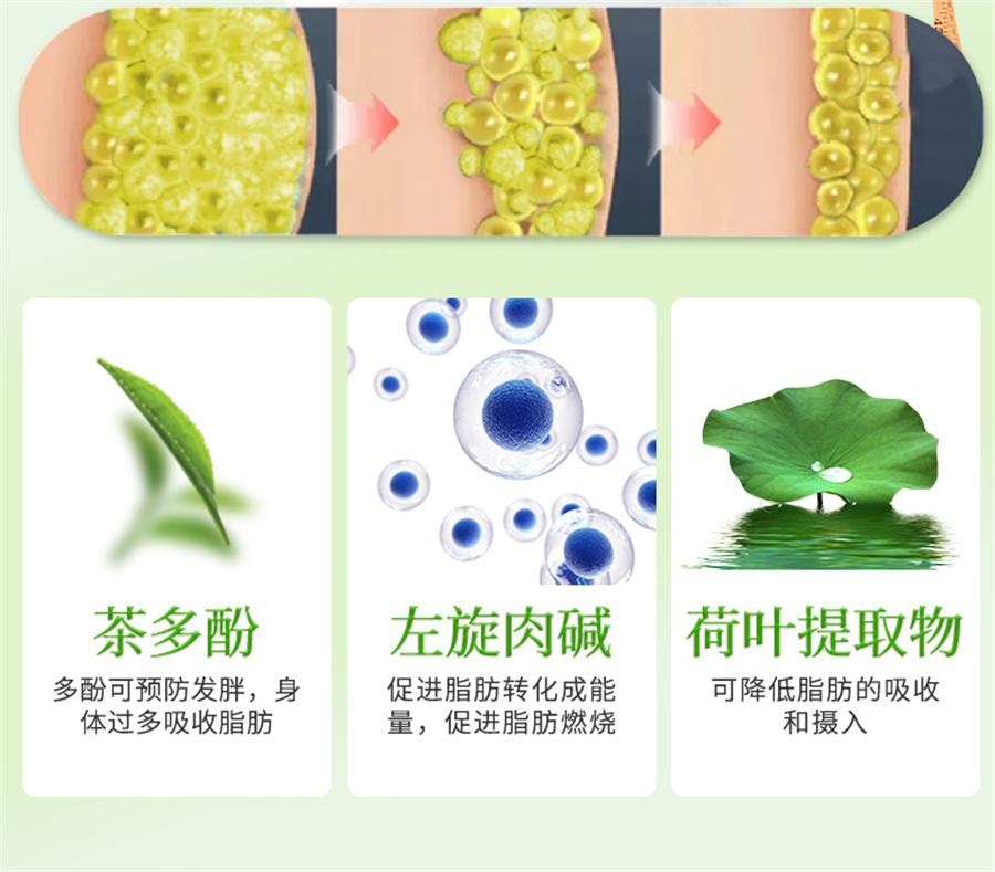 【中國直郵】 京都安順堂 茶多酚荷葉膠囊 左旋肉鹼植物草本抑制食慾減脂瘦身減肥20g/瓶