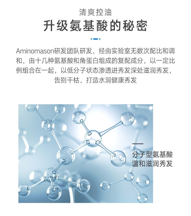 日本 AMINO MASON 胺基酸限量薄荷控油洗護套組 清爽型 450ml x 2pcs