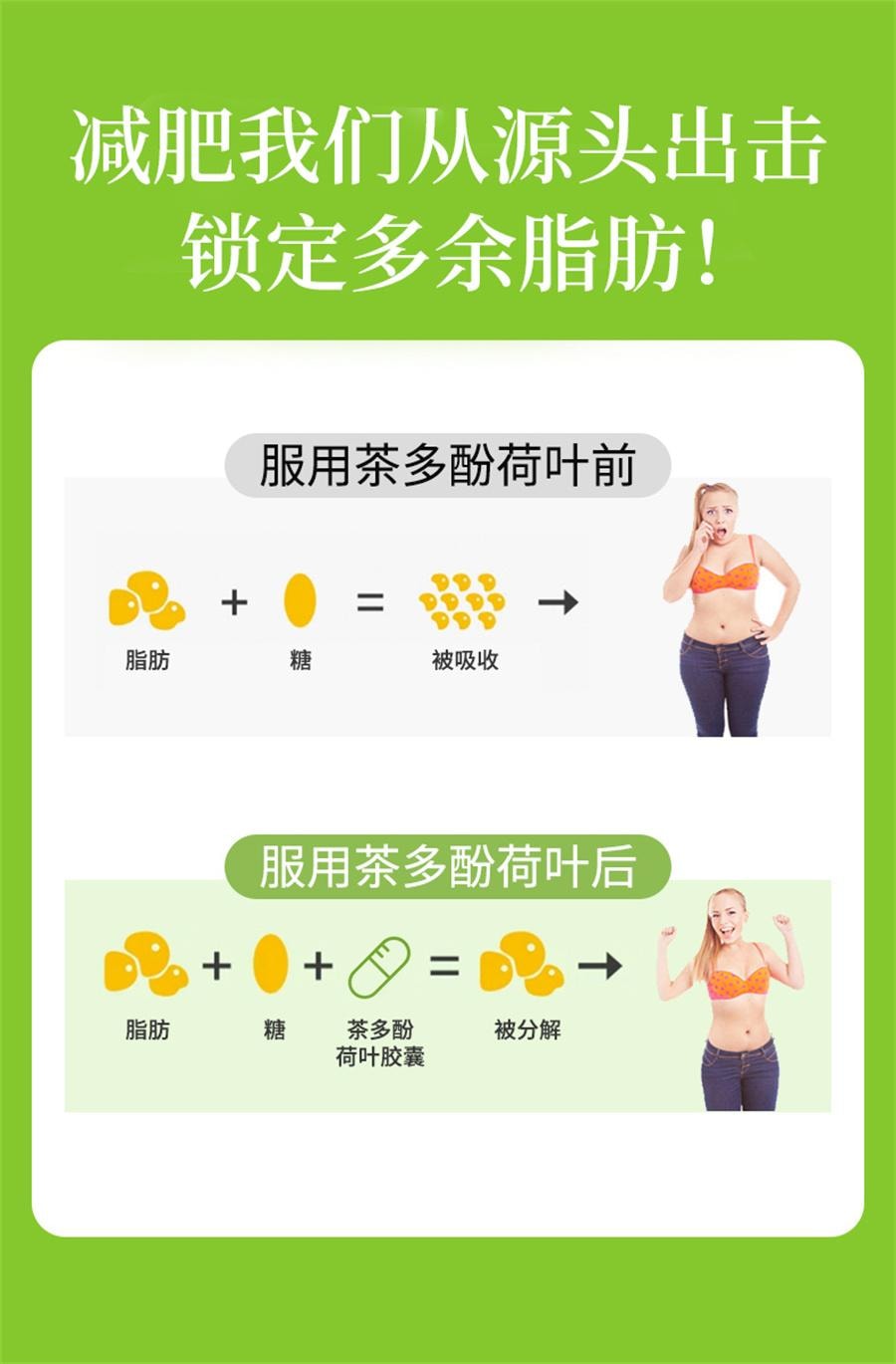 【中國直郵】 京都安順堂 茶多酚荷葉膠囊 左旋肉鹼植物草本抑制食慾減脂瘦身減肥20g/瓶