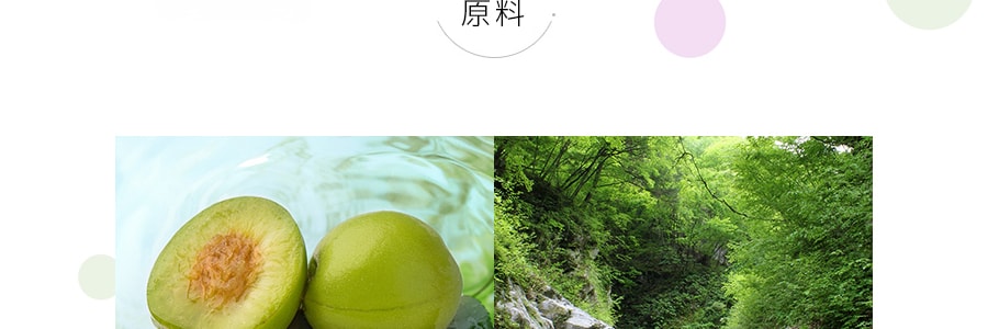 日本SUNTORY三得利 天然水 海鹽梅子味 540ml 透明水 夏季必備 緩解中暑
