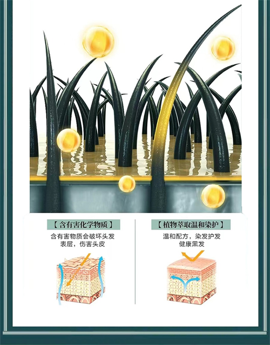 【中国直邮】 南京同仁堂 染发剂植物纯自然黑天然无刺激泡泡一洗黑自己在家染发膏 棕黑色 500ml