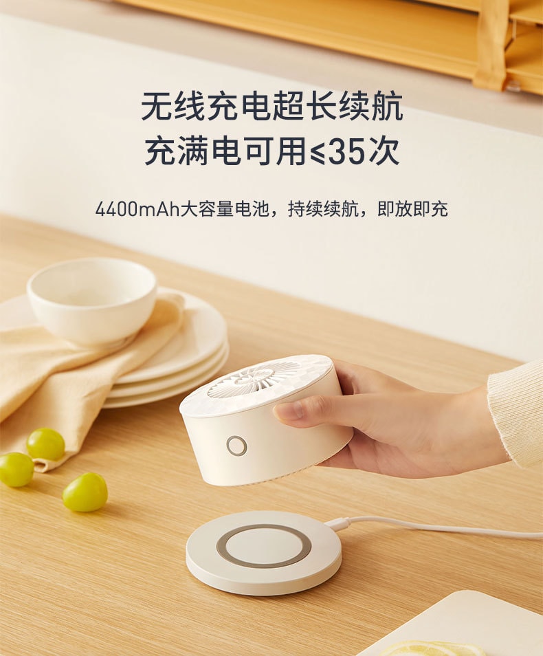 【中國直郵】EraClean世淨 蔬果清洗機 去農藥殘留淨化器 家用神器 自動消毒洗菜機 GFC01
