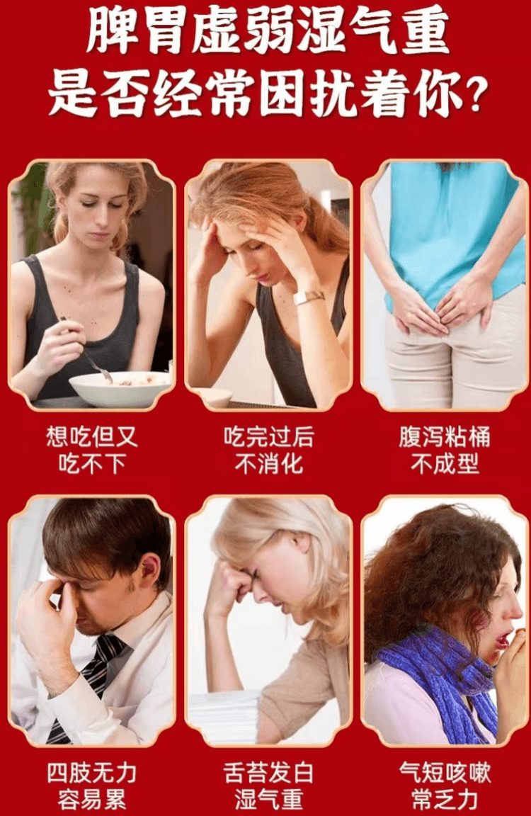 Shenling Baizhu Powder 10 Bags