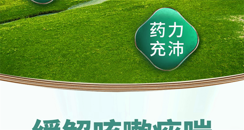 【中国直邮】 奇正藏药 十五味龙胆花丸 藏药 支气管炎咳嗽气喘 36丸/盒