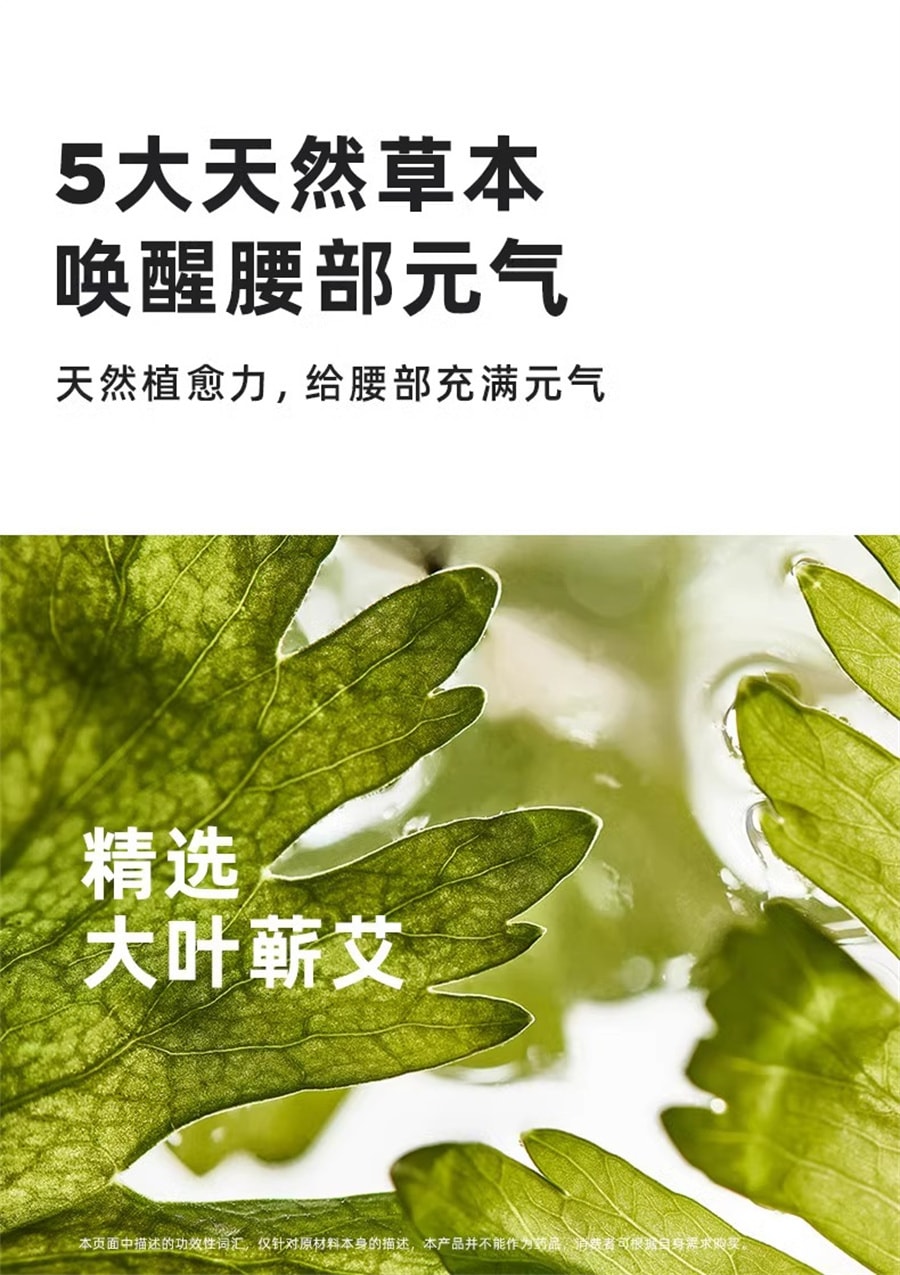 【中國直郵】元氣達人 蘄艾暖腰帶護腰帶發熱貼暖腹帶暖肚子熱敷貼姨媽暖寶寶 3片/盒