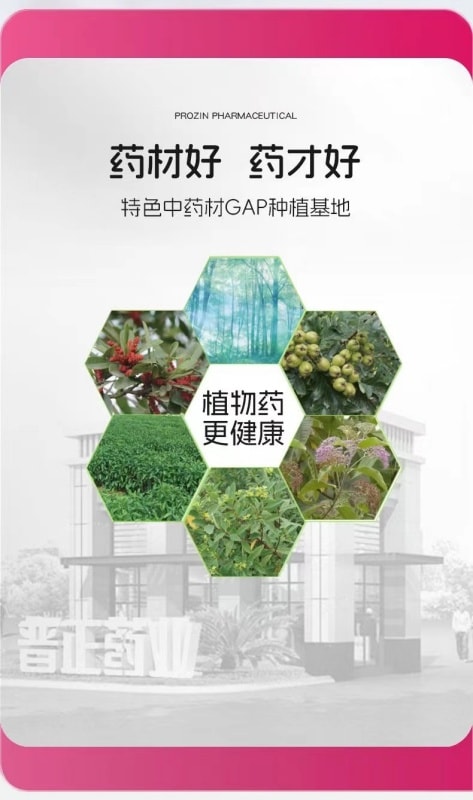【中国直邮】 普正 红花逍遥片舒肝理气活血月经不调胀痛治黄褐斑 24片/盒