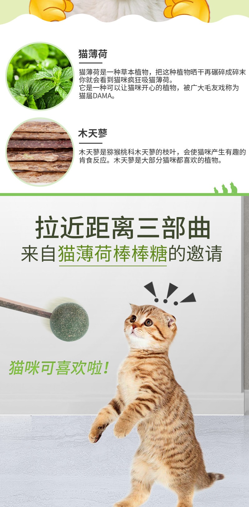 【中国直邮】尾大的喵 猫薄荷球 磨牙洁牙 清新口气 宠物用品 2个装