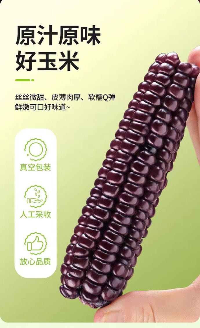 【中國直郵】 傣小瓜 雲南西雙版納 紫薯拇指玉米 0添加 500g*1袋