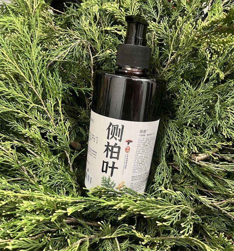 【中国直邮】 潮利 侧柏叶洗发水 去屑止痒控油生姜防脱生发纯草本洗发水500ml/瓶