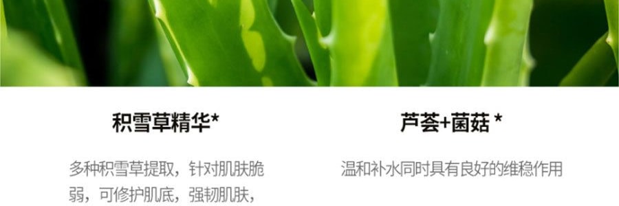 韩国jm Solution 积雪草茶树舒缓面膜套装11片 100ml精华 亚米