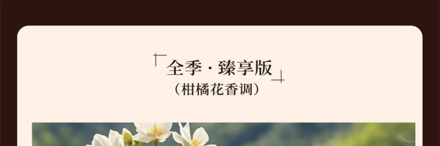 宋朝 雅奢酒店香薰系列 無火香氛 萬豪·臻享版 300ml