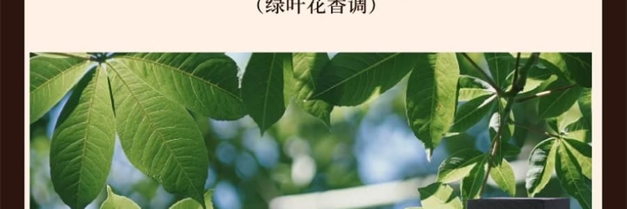 宋朝 雅奢酒店香薰系列 無火香氛 萬豪·臻享版 300ml