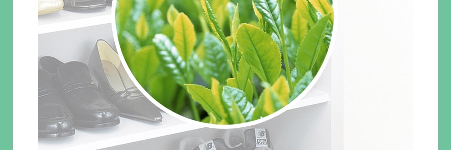 日本KOKUBO小久保 綠茶能量 鞋櫃用除臭劑 150g