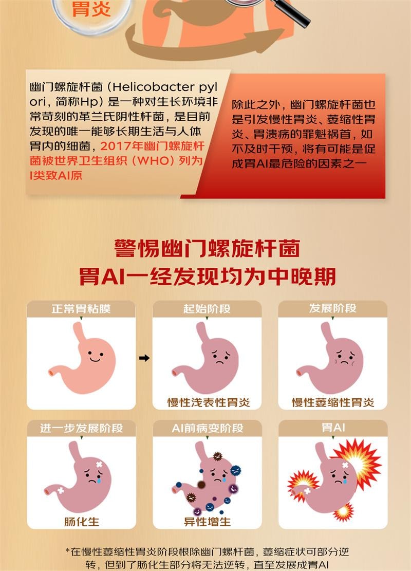 【中國直郵】 A1 中國 雪山胃寶丸24丸/盒正品胃脹痛慢性胃炎胃寒脾胃虛弱養胃健胃消食腸胃用藥