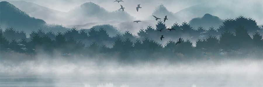 时朴 黑豆腐竹 150g【云南石屏特产】【火锅麻辣烫食材】