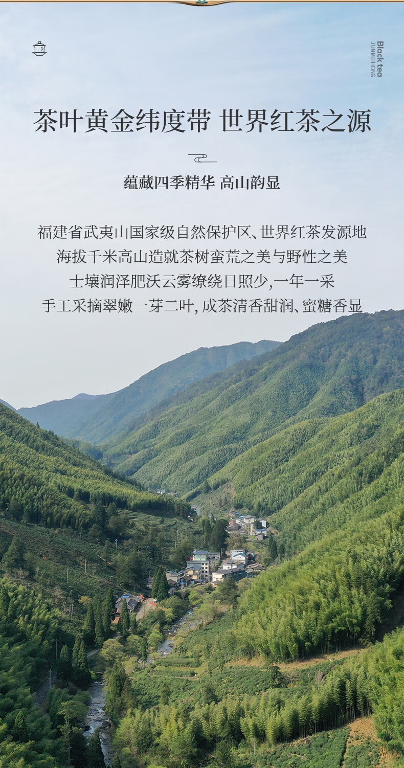 正山堂 宋风雅韵骏眉红 特级正山小种红茶茶叶礼盒装  送礼佳品 100g (不含礼品袋)