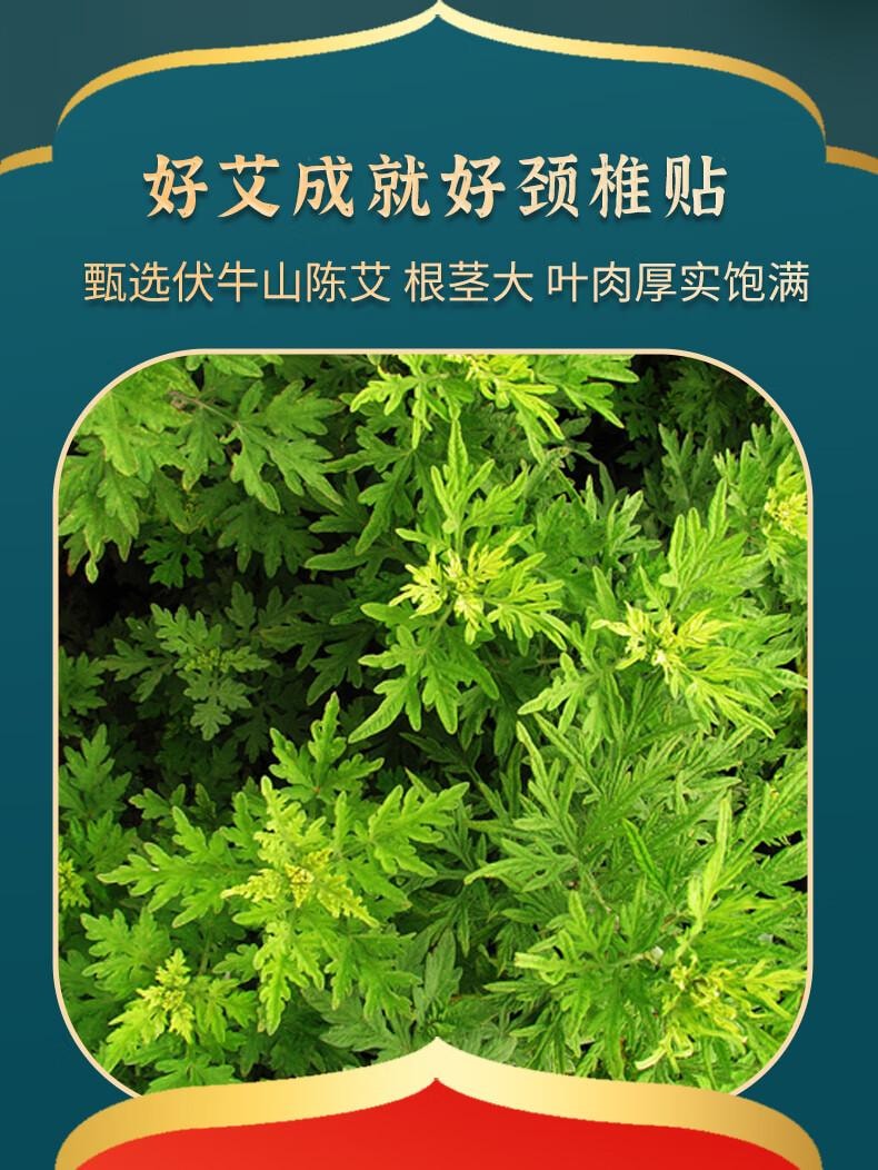 【中国直邮】中葆堂 颈椎贴 艾灸贴 热敷 12贴一盒