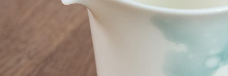 南山先生 素锦莲华茶具套装 6人盖碗泡茶功夫茶具 圆融盖碗款 9件套