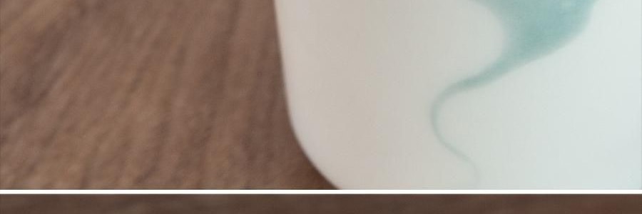 南山先生 素锦莲华茶具套装 6人盖碗泡茶功夫茶具 圆融盖碗款 9件套