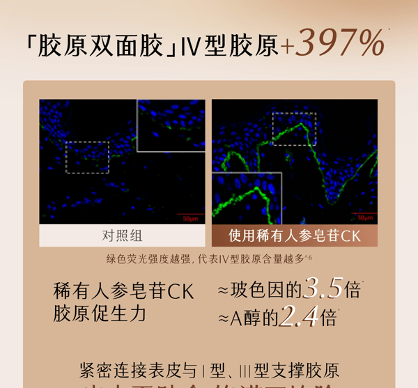 谷雨 山参臻颜紧致次抛精华液【美白持证】【更适合亚裔肤质】 - 紧致抗皱 保湿 细肤抗老 1.5ml*30支