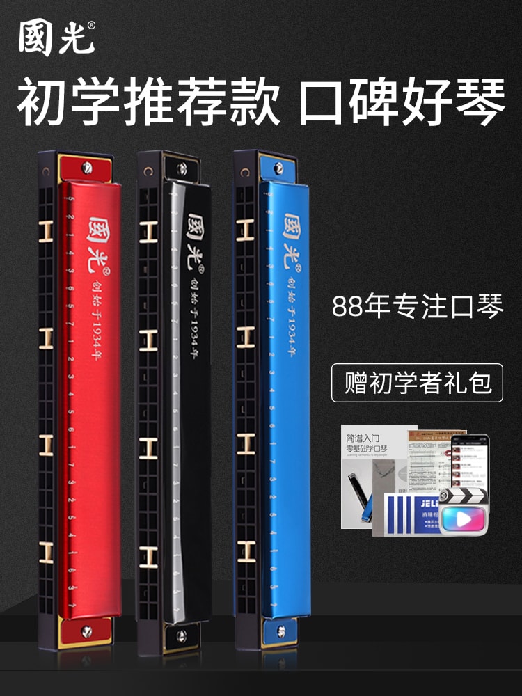 【中國直郵】國光 口琴24孔複音C調初學者入門 星空銀
