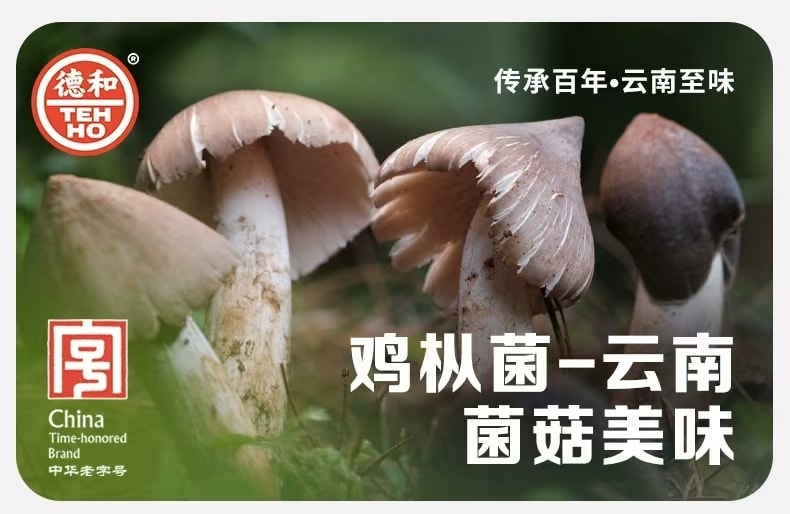 【中国直邮】 德和 油鸡枞罐头 云南特产 新鲜菌菇 下饭酱拌面酱 145g